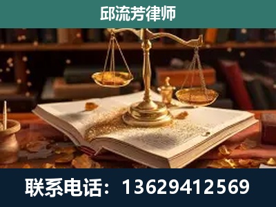 金平-刑事案件