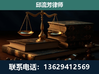 金平-刑事案件